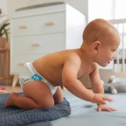 Charlie Banana One Size Reusable Cloth Diaper -Baby Trend Store GUEST 00122f18 e13b 488d 96b6 1956d6aec51c