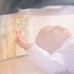 Bright Starts Disney Baby Winnie The Pooh Soothing Baby Bassinet - Slumber Party -Baby Trend Store GUEST 1a668770 99c0 4a74 a007 2fa3c4c493ce