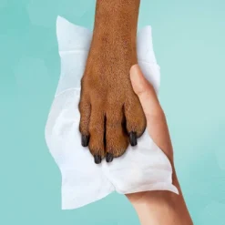 Pampers® Pampers Multi-Use Baby Wipes (Select Count) -Baby Trend Store GUEST 2de2609c 57ba 427e 8071 be0bb53f95e1