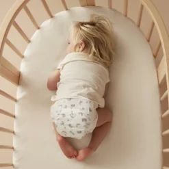 Millie Moon Disposable Overnight Diapers -Baby Trend Store GUEST 47f5a34b ea16 44f0 a836 63e07199d9b3