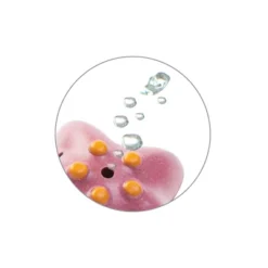Plantoys| Sea Life Bath Set -Baby Trend Store GUEST 4c30beb0 8d92 4060 a861 f5897cef0192