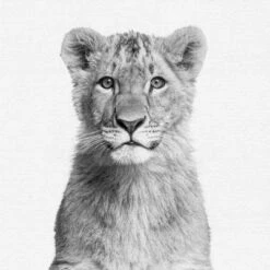 Black And White Nursery Safari - 4 Piece Framed Gallery Wall Set - Americanflat With Mat 9 Black And White Nursery Safari - 4 Piece Framed Gallery Wall Set - Americanflat With Mat -Baby Trend Store GUEST 710eec6d b866 4e9f a3eb 5ca77fcf531c