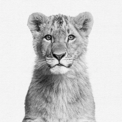 Black And White Nursery Safari - 4 Piece Framed Gallery Wall Set - Americanflat With Mat 5 Black And White Nursery Safari - 4 Piece Framed Gallery Wall Set - Americanflat With Mat - Image 5