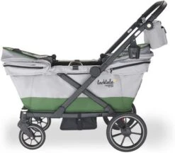 Larktale Caravan Coupe - Compact 2-Seater Stroller Wagon With Small Fold - Adjustable Canopies Included - Gray/Green -Baby Trend Store GUEST 8a0c8f5d 9279 483a ab8e 2a83ed993228