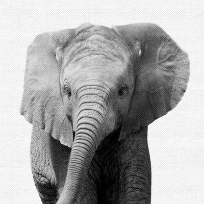 Black And White Nursery Safari - 4 Piece Framed Gallery Wall Set - Americanflat With Mat 3 Black And White Nursery Safari - 4 Piece Framed Gallery Wall Set - Americanflat With Mat - Image 3