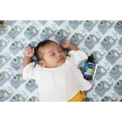 Mommy’s Bliss Mommy's Bliss Gripe Water Night Time For Colic, Gas Or Stomach Discomfort - 4 Fl Oz -Baby Trend Store GUEST e83c629a 3726 4458 8d93 25c374e8a057